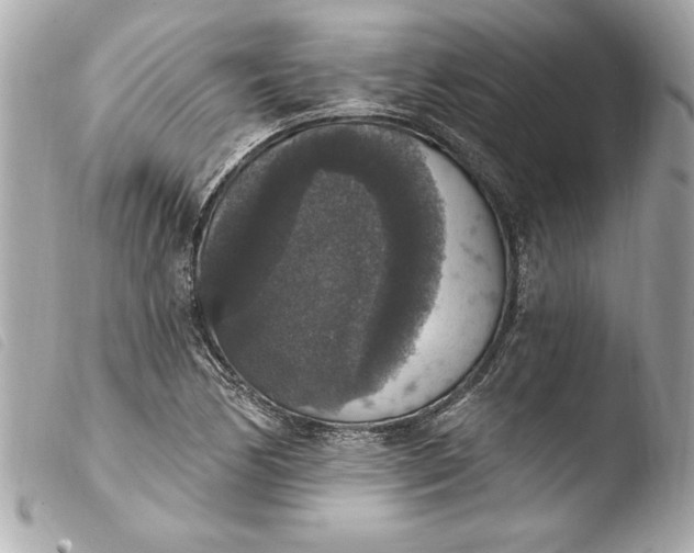 X0000103951170200810031339