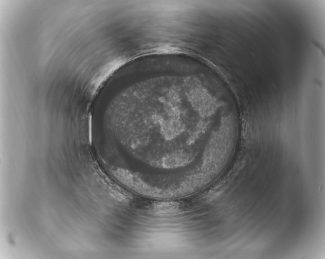 X0000103951171200810031339