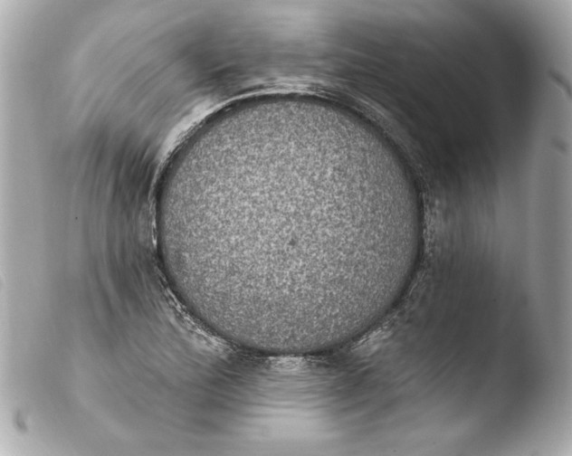 X0000103951172200810031338