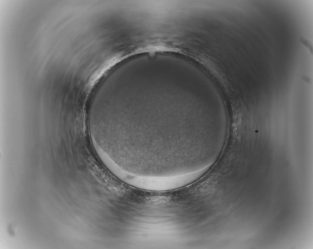 X0000103951173200810031338