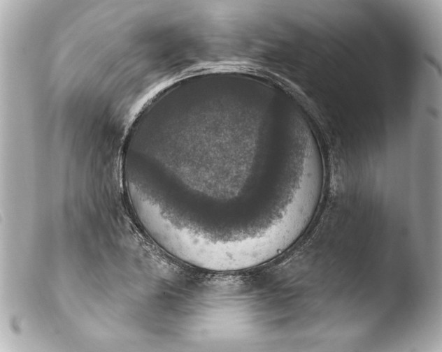 X0000103951174200810031338