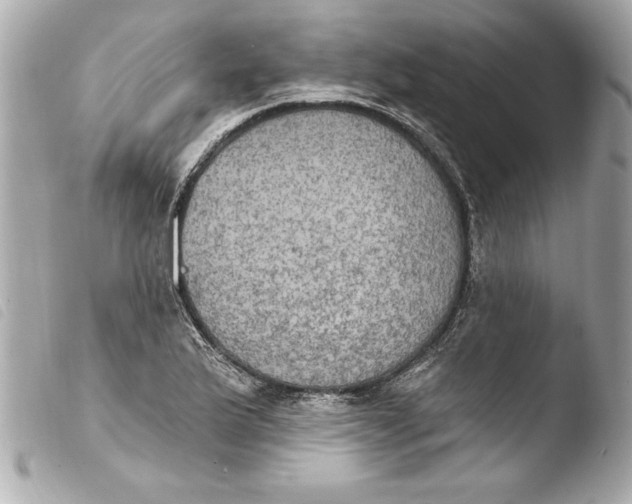 X0000103951175200810031338