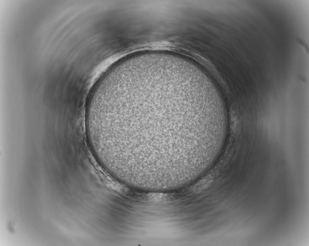 X0000103951176200810031338