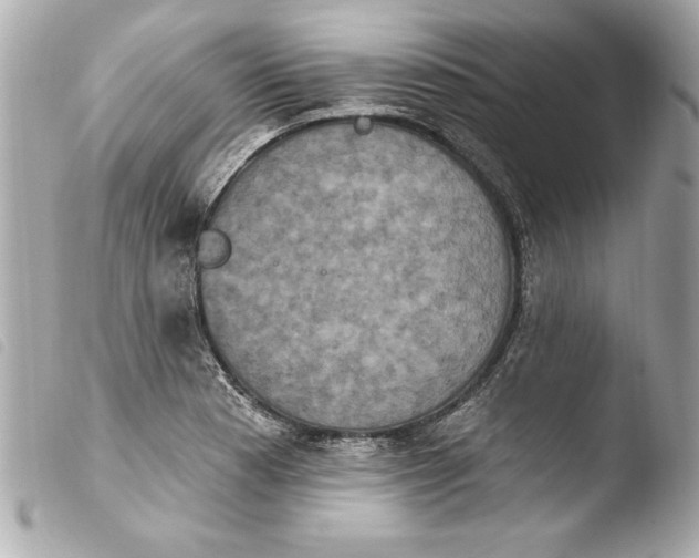 X0000103951177200810031338