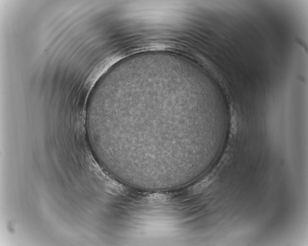 X0000103951178200810031338