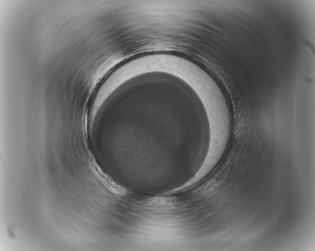 X0000103951179200810031338