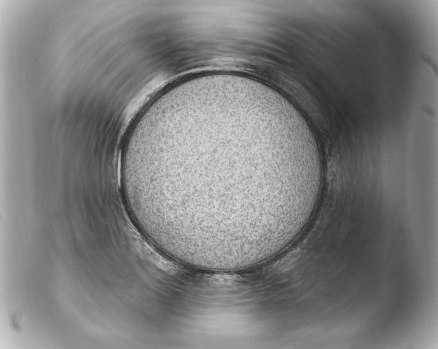 X0000103951180200810031338