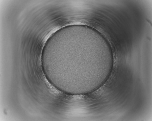 X0000103951181200810031338