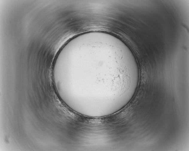 X0000103951182200810031338