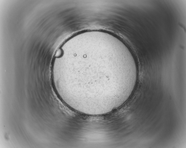 X0000103951183200810031338