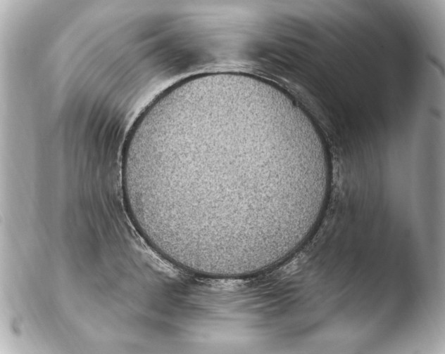 X0000103951184200810031338