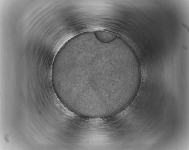 X0000103951186200810031338