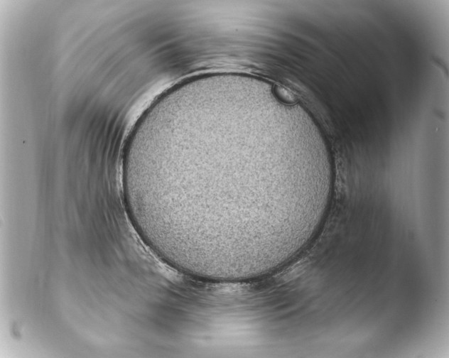 X0000103951188200810031338