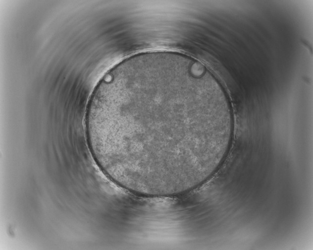 X0000103951189200810031338