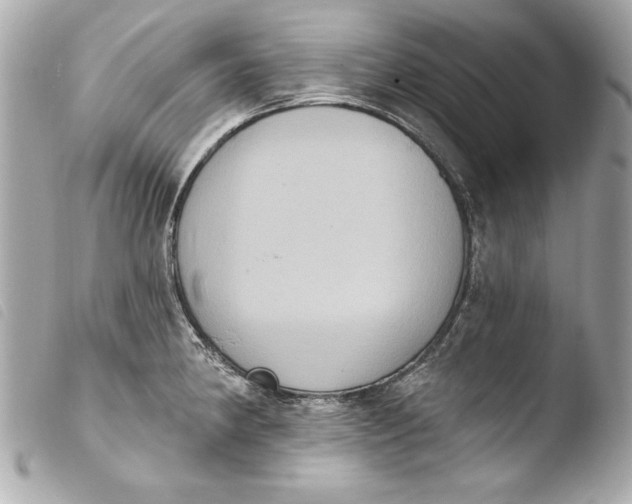 X0000103951190200810031338