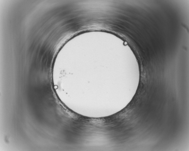 X0000103951191200810031338