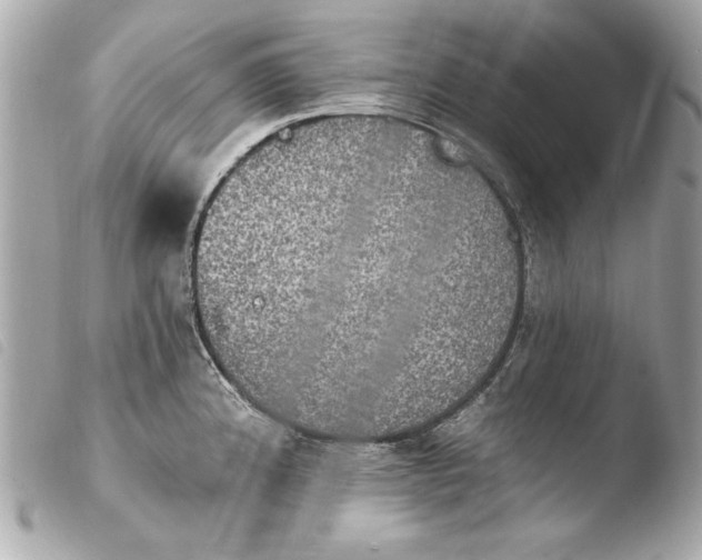 X0000103951192200810031338