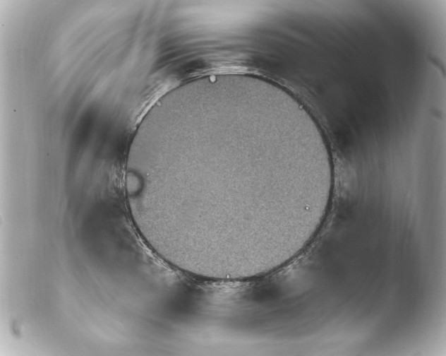 X0000103951193200810031338