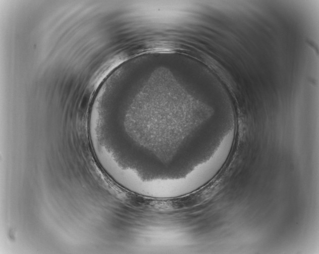 X0000103951194200810031338