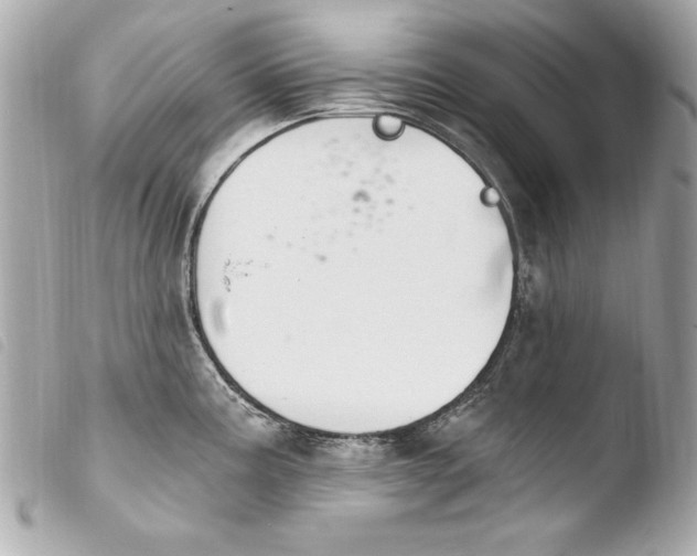 X0000103951195200810031338