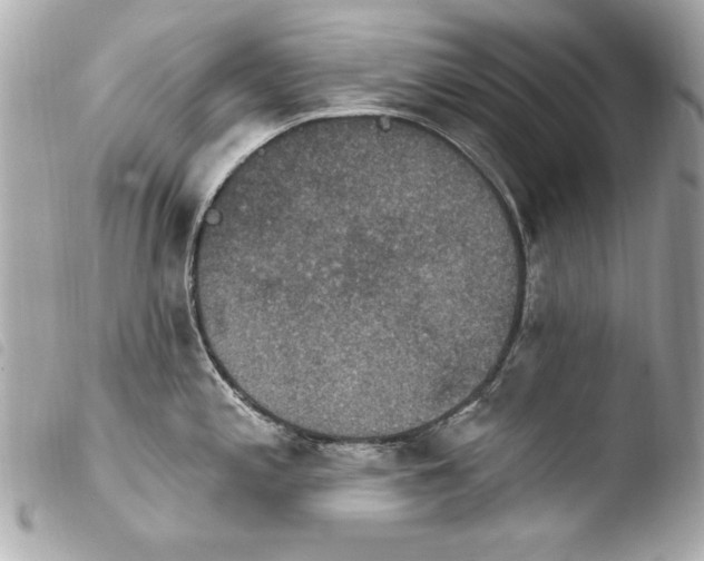 X0000103951197200810031338