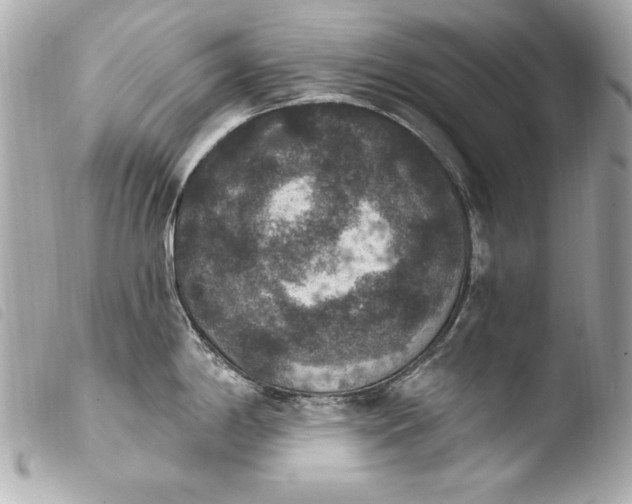 X0000103951198200810031338