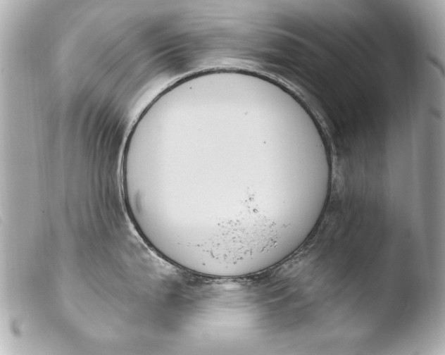 X0000103951199200810031338