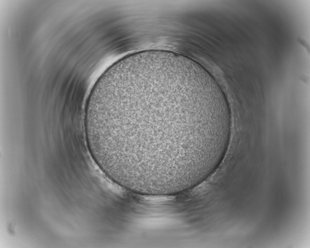 X0000103951200200810031338