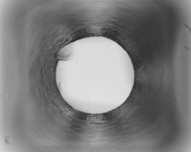 X0000103951201200810031337