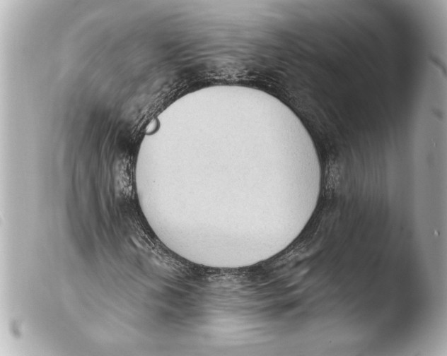 X0000103951202200810031337