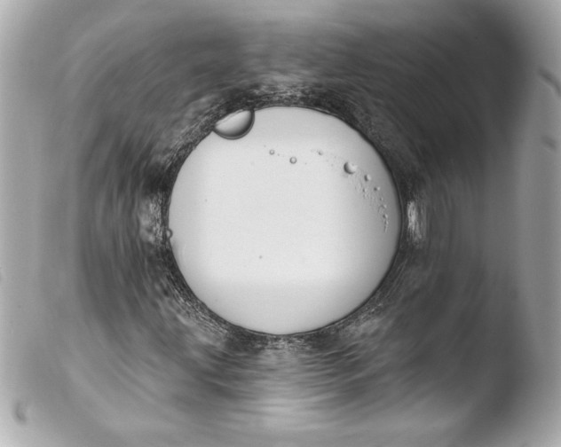 X0000103951203200810031337