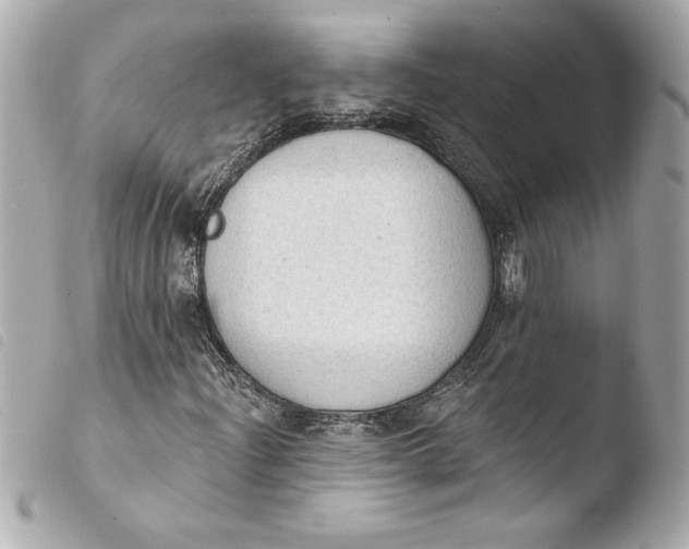 X0000103951204200810031337