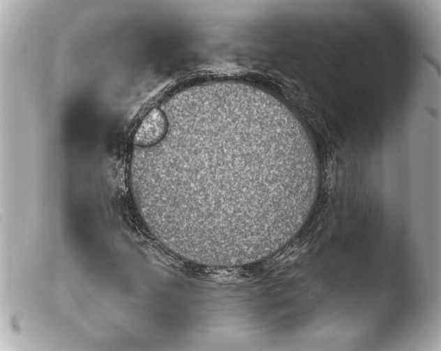 X0000103951205200810031338