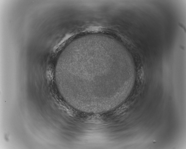 X0000103951206200810031338