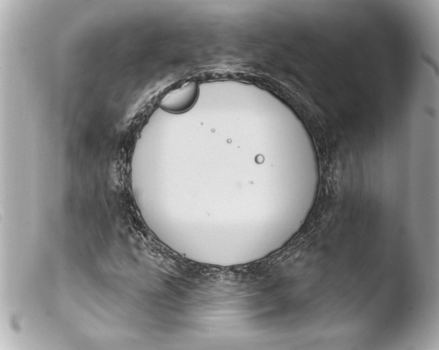 X0000103951207200810031338