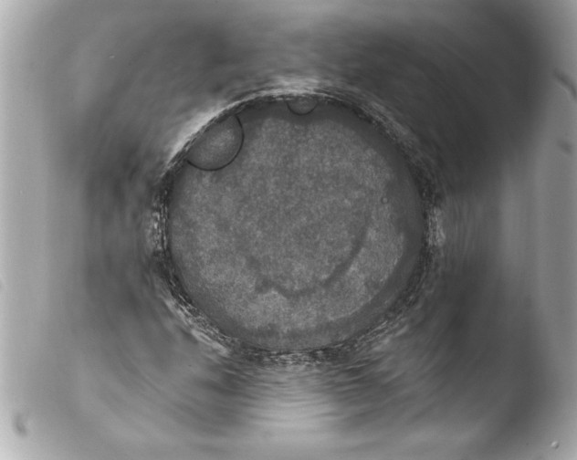 X0000103951208200810031338