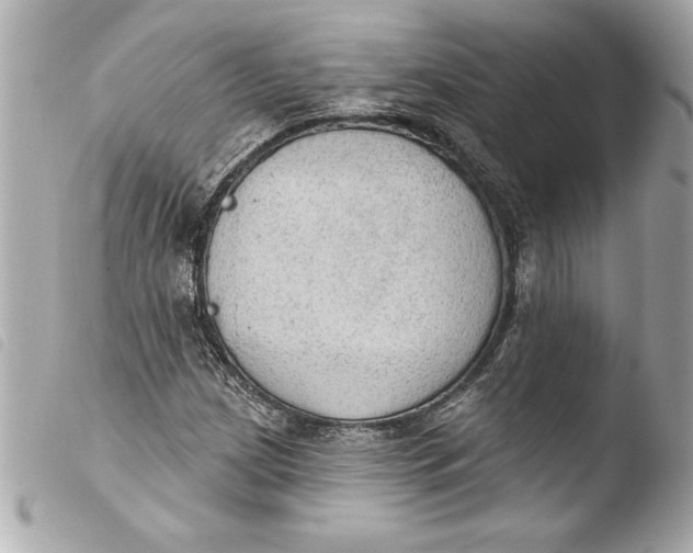 X0000103951209200810031338