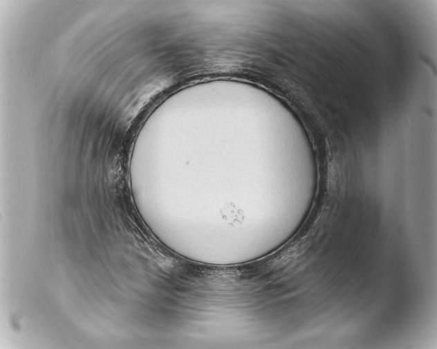 X0000103951210200810031338