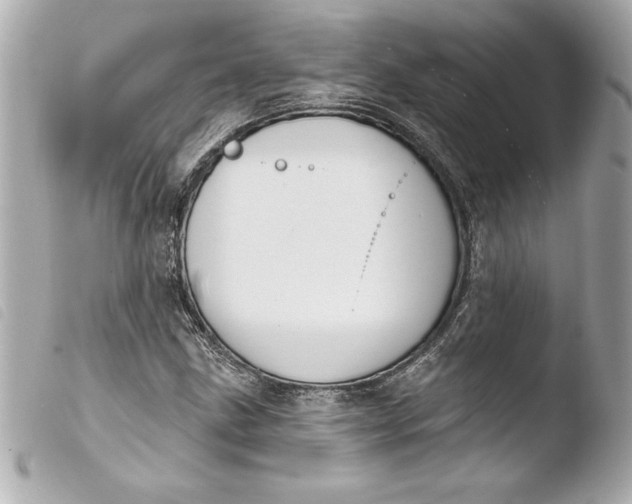 X0000103951211200810031338