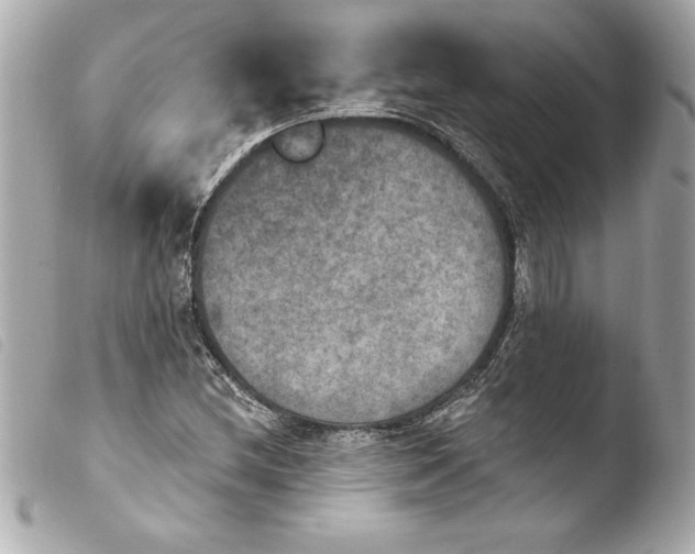 X0000103951212200810031338