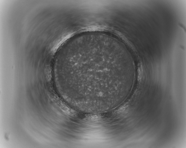 X0000103951213200810031338