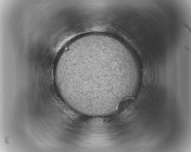 X0000103951214200810031338