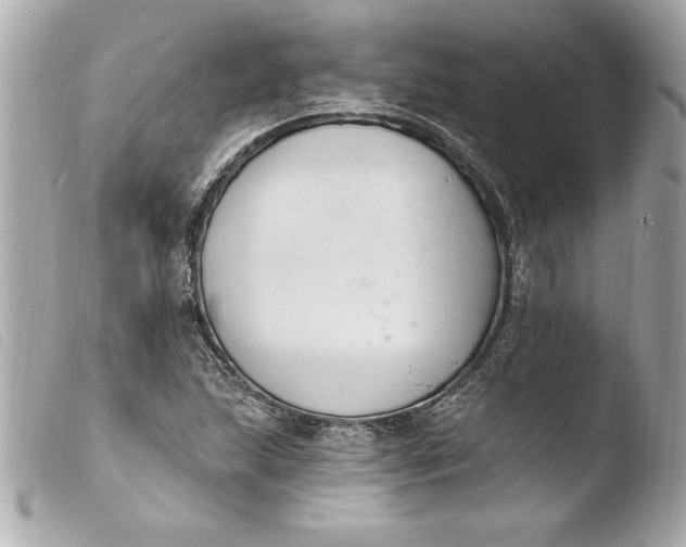 X0000103951215200810031338