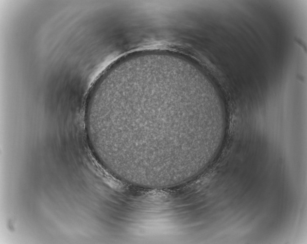 X0000103951216200810031338