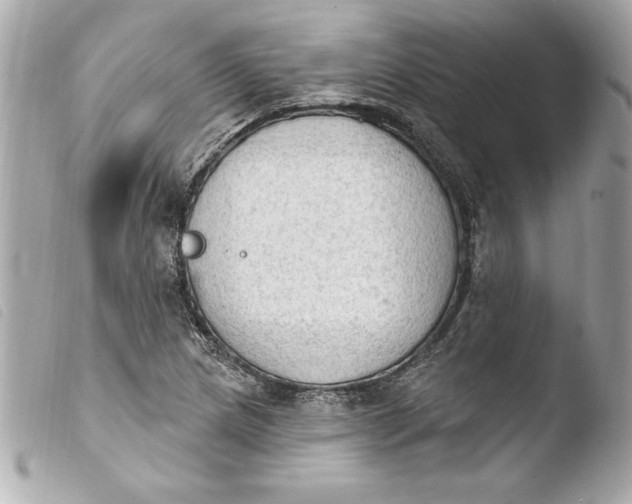 X0000103951217200810031338