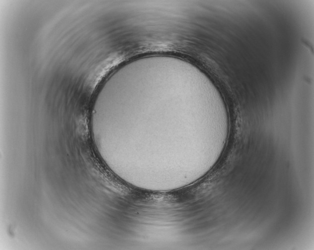 X0000103951218200810031338