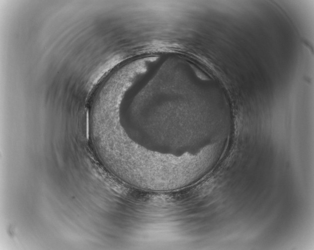 X0000103951219200810031338