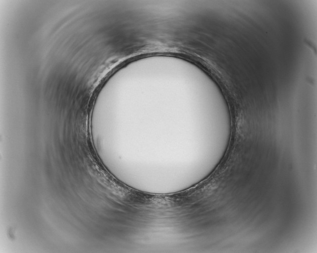 X0000103951220200810031338