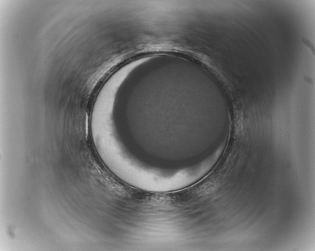 X0000103951221200810031338