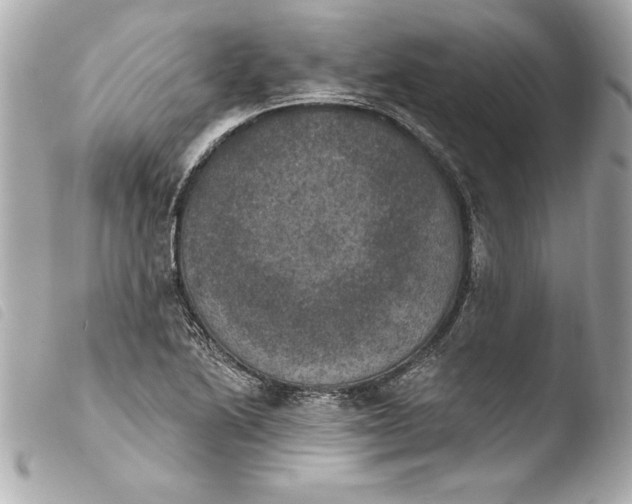 X0000103951222200810031338